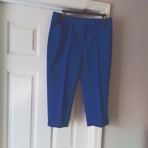Blue Capri pants. Size 10. Excellent condition